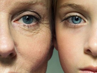 Японские коллагены. Что такое коллаген?